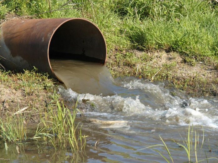 В Донецкой области проведут экологическую оценку состояние водоемов