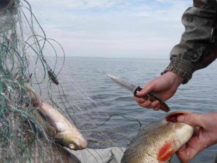 В Мариуполе задержали рыбака с запрещенным орудием лова